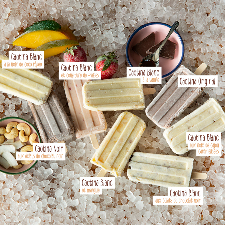 Bâtonnets glacés faits maison